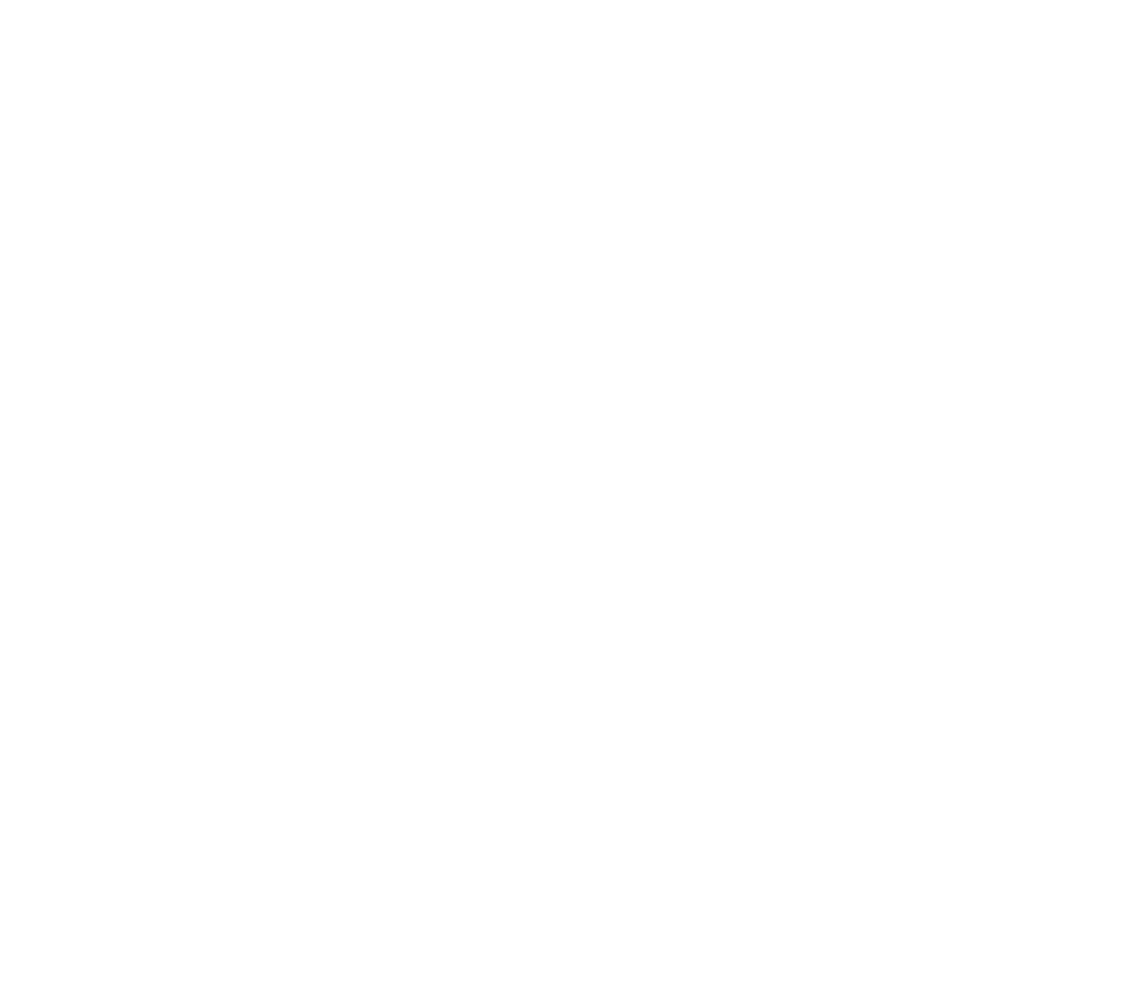 Corporate Plus NMSDC Plus Member